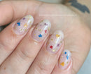 Dried Flowers Nail Art
