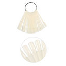 Natural fan exhibitor - 50 seats